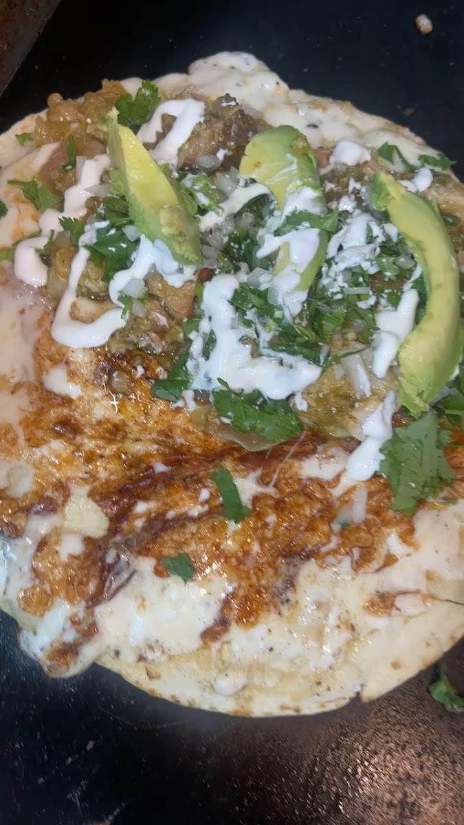 Tacolicious food truck Photo 4