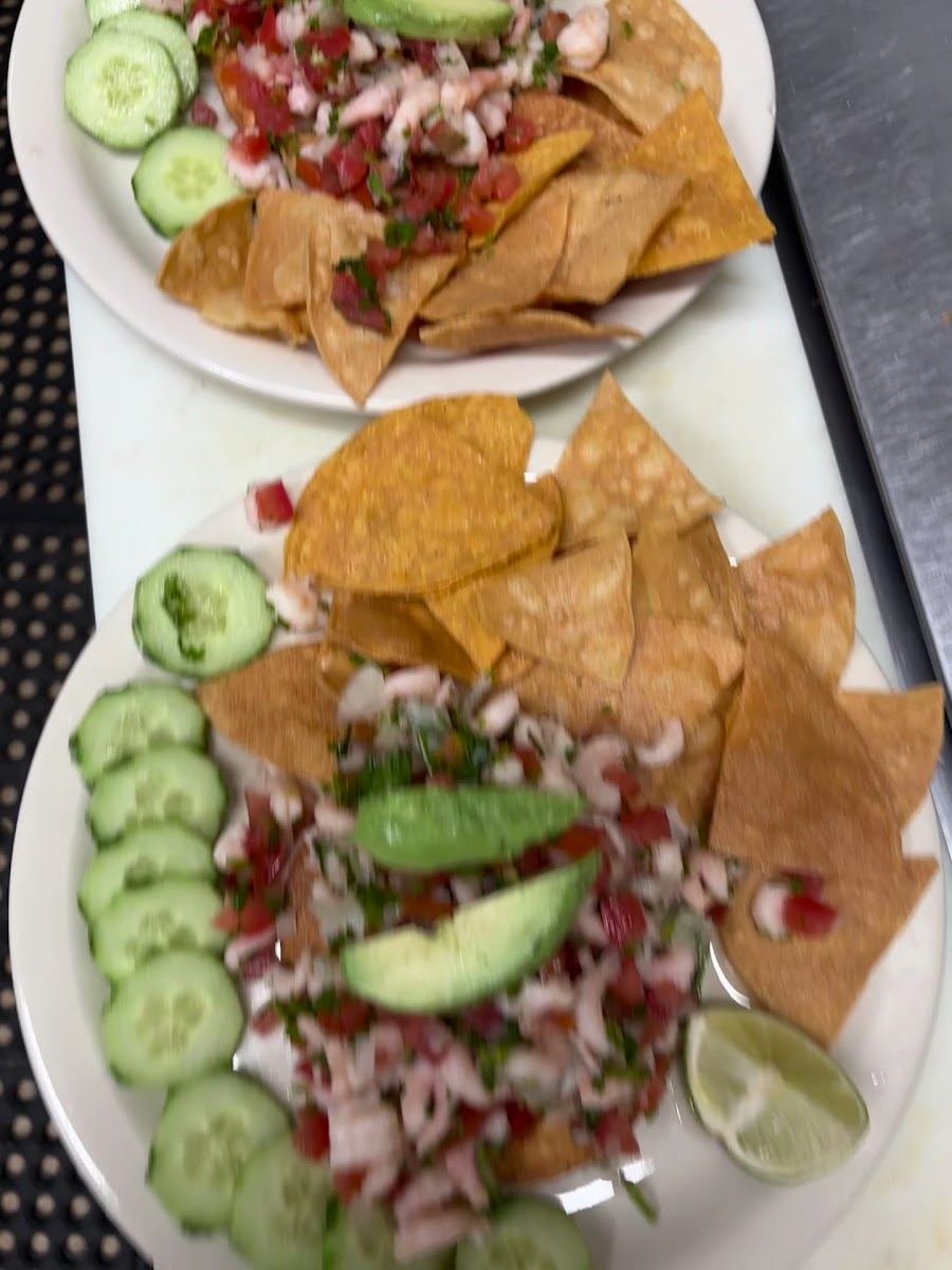 Turtle Fiesta Bar and Grill Photo 2