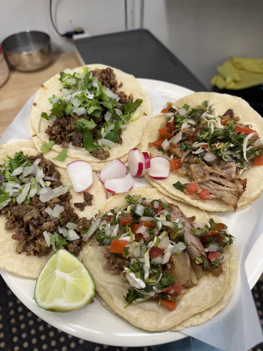Turtle Fiesta Bar and Grill Photo 8