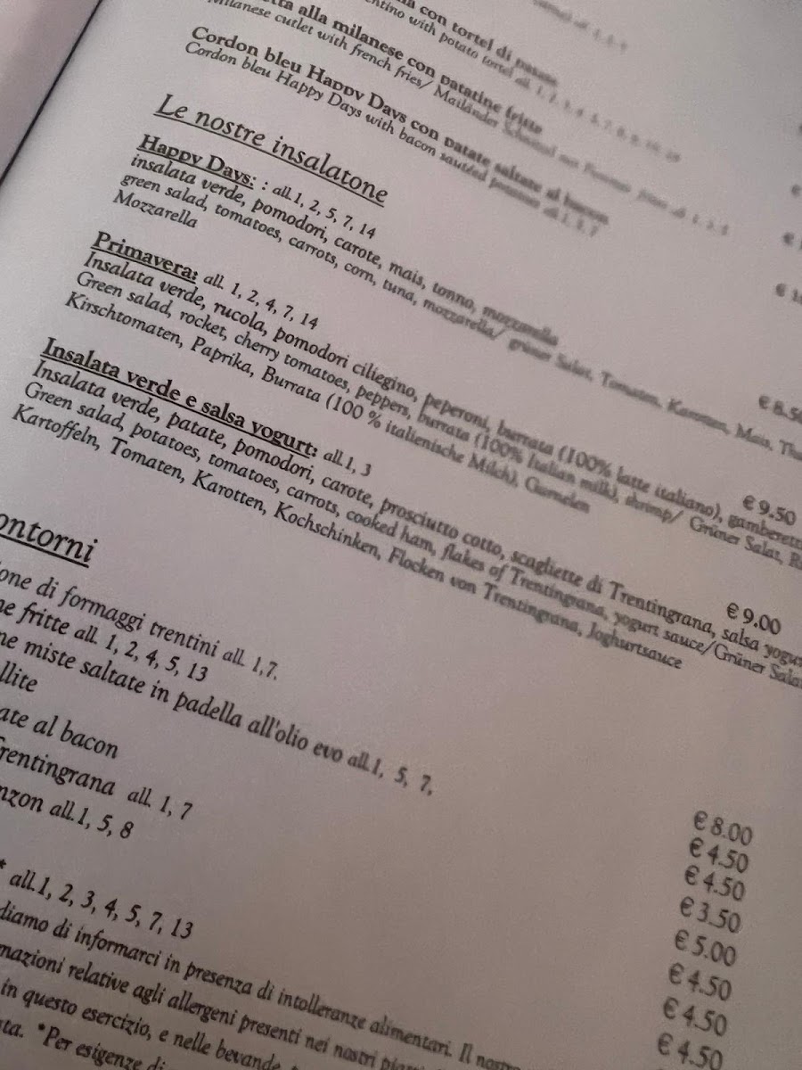 Ristorante Pizzeria Happy Days Photo Menu 3