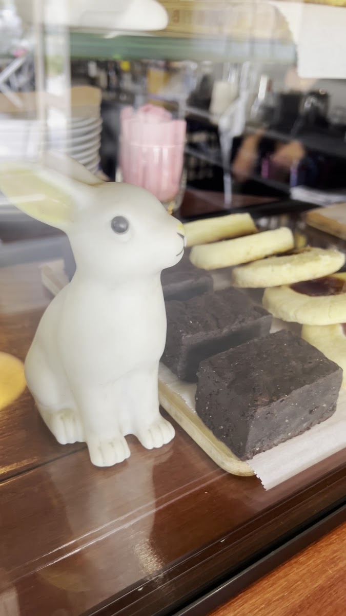 White Rabbit Restaurant Brighton Photo 2