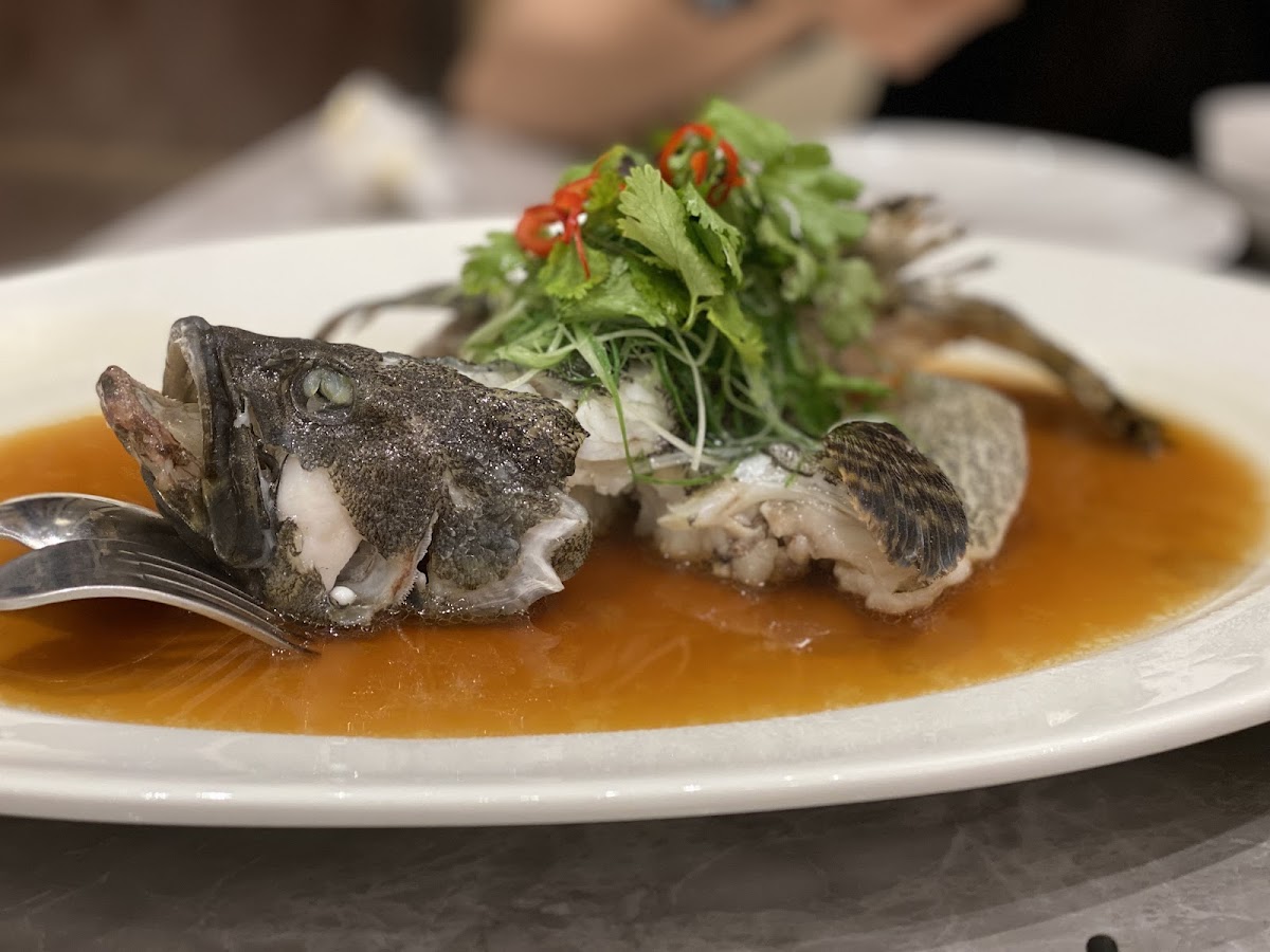 Thien Thien Lai Chinese Restaurant @ Living World Photo 9