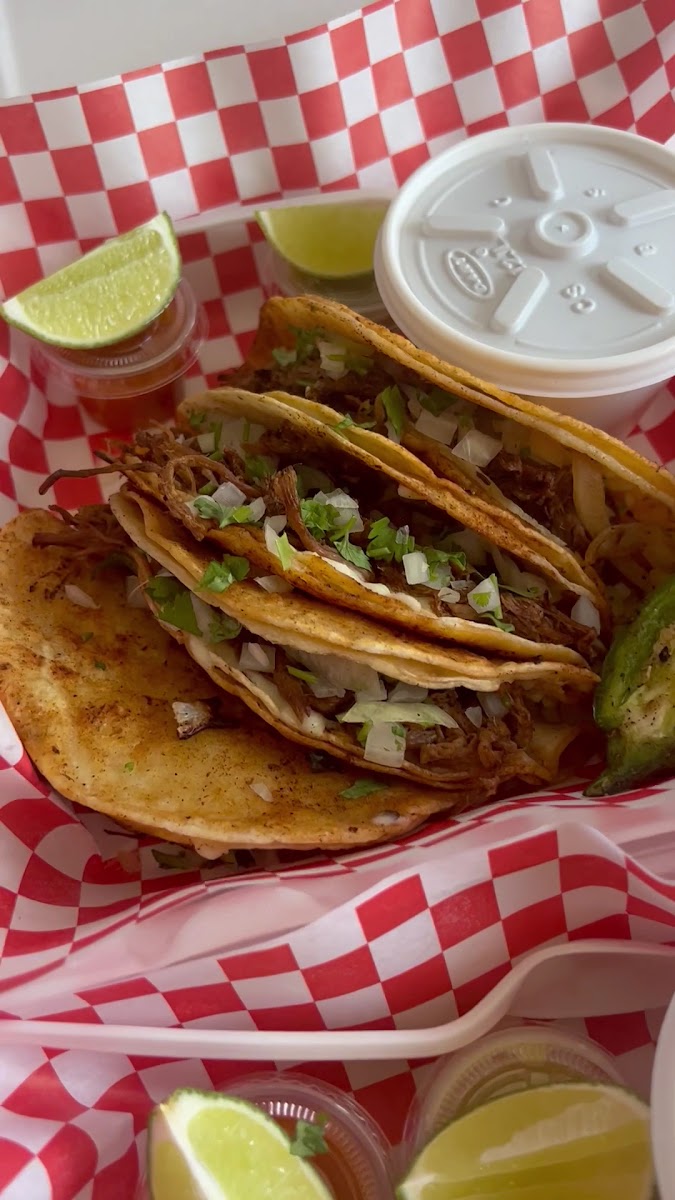La Shunca Food Trailer Photo 8