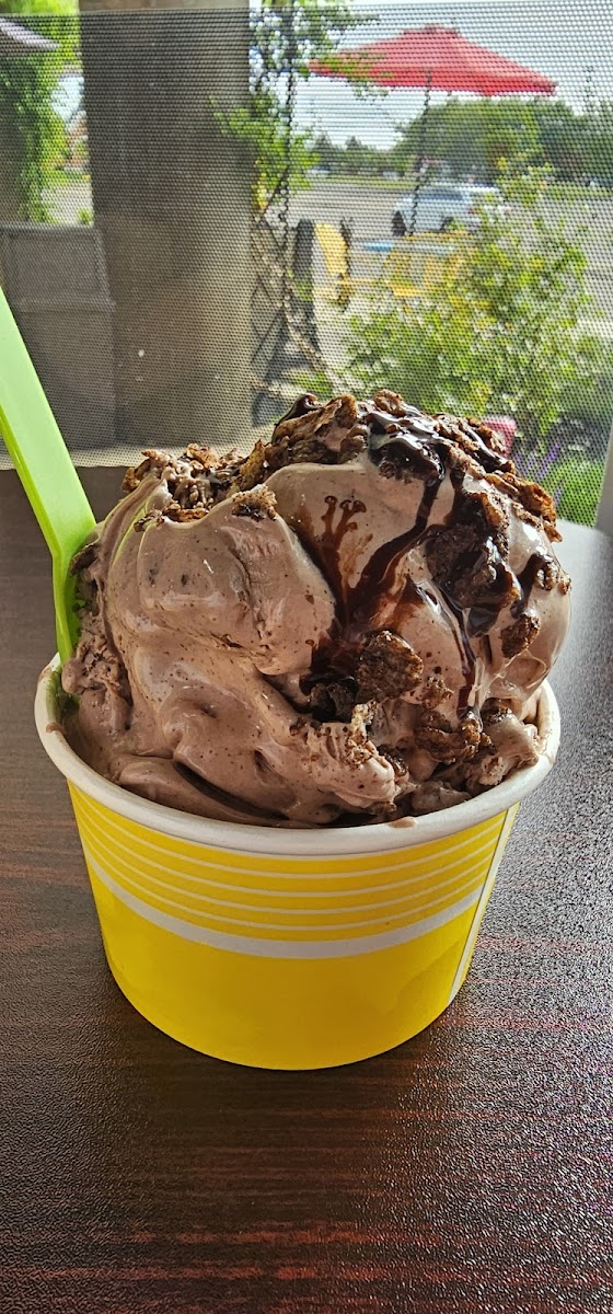 Freskia Ice Cream Photo 7