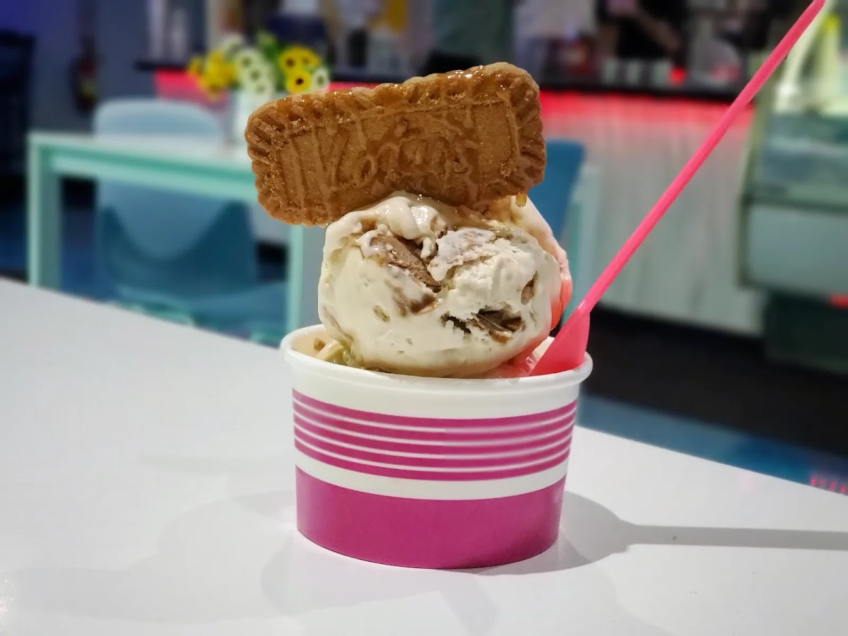 Freskia Ice Cream Photo 8