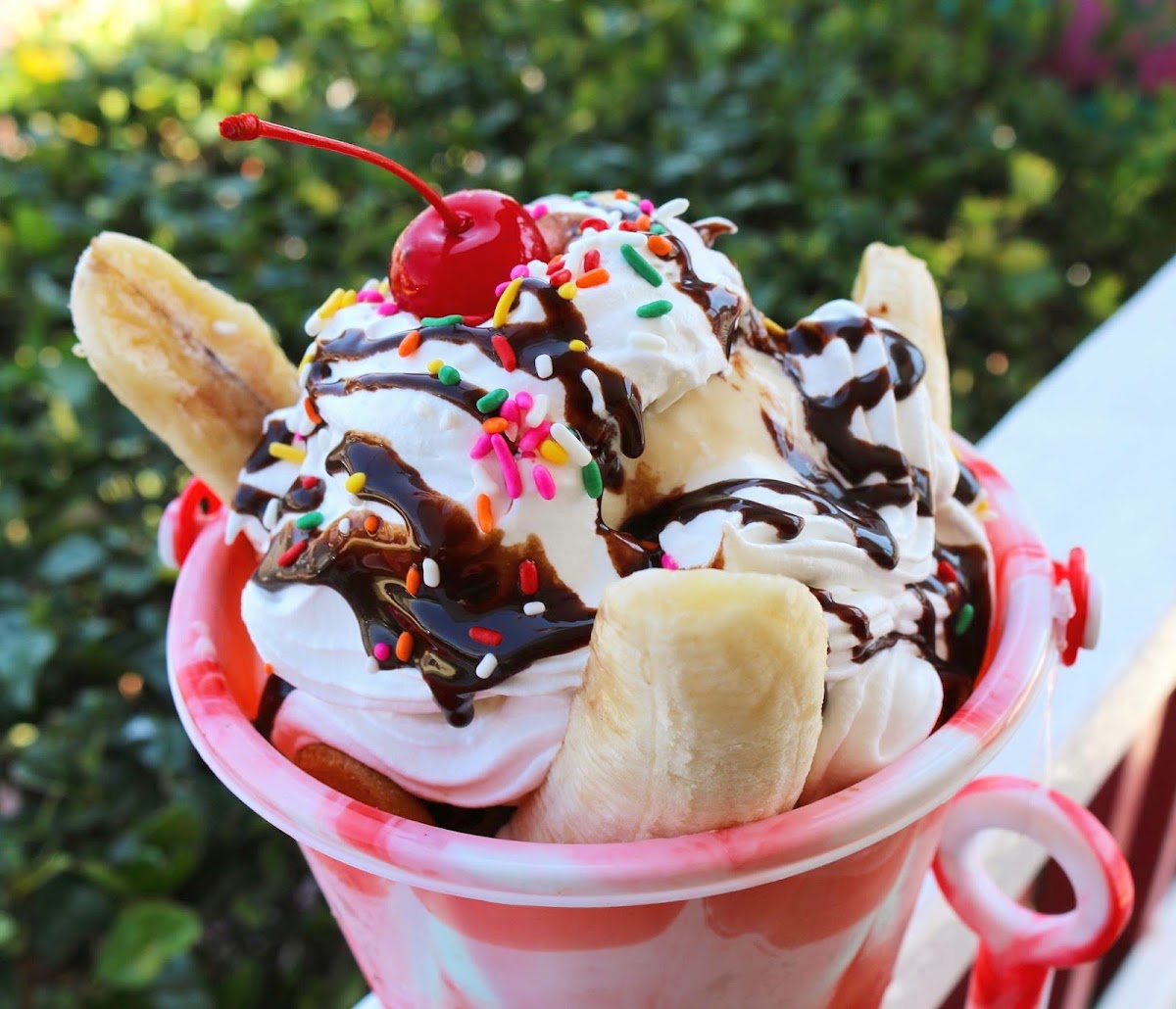 Squigley's Ice Cream & Treats Photo 3