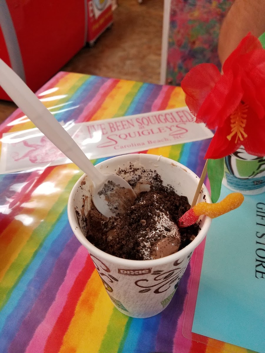 Squigley's Ice Cream & Treats Photo 5