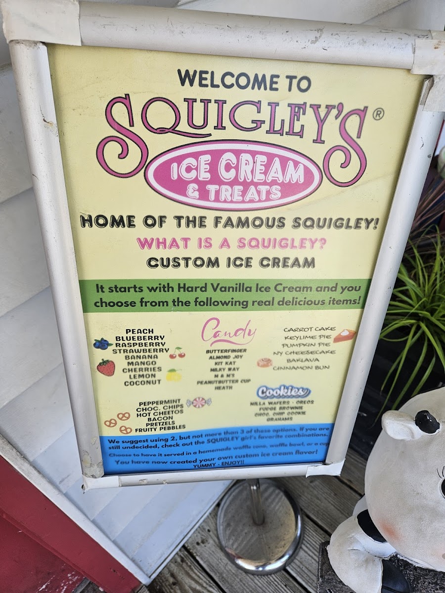 Squigley's Ice Cream & Treats Photo Menu 3