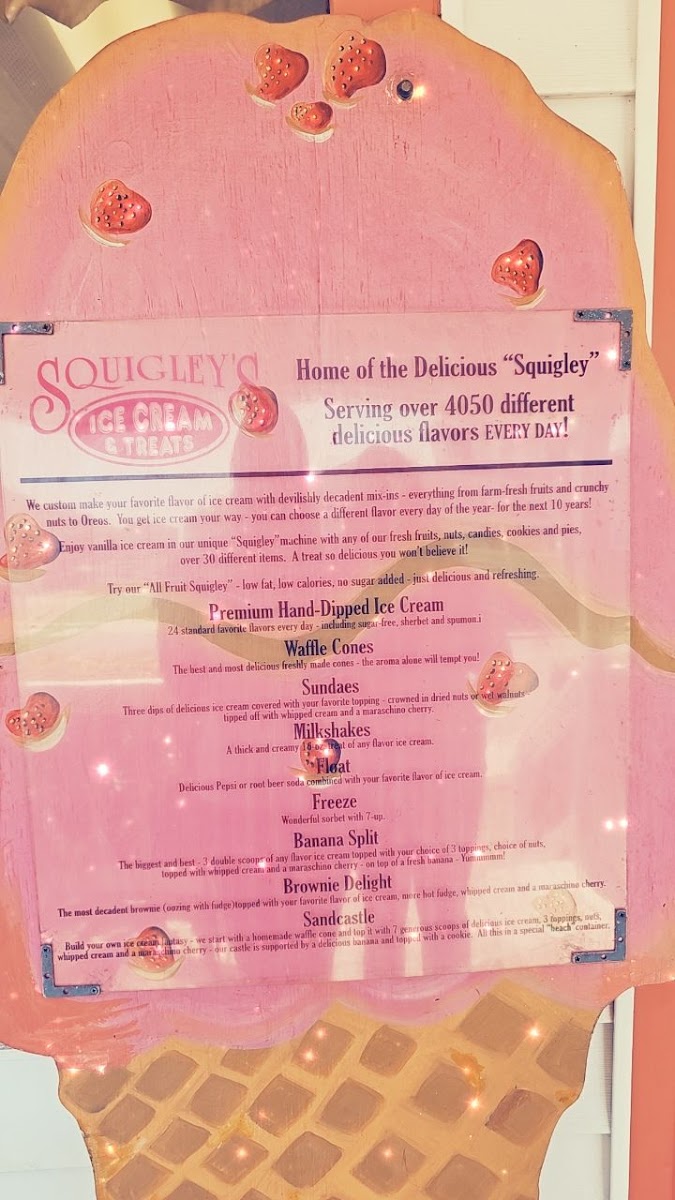 Squigley's Ice Cream & Treats Photo Menu 6