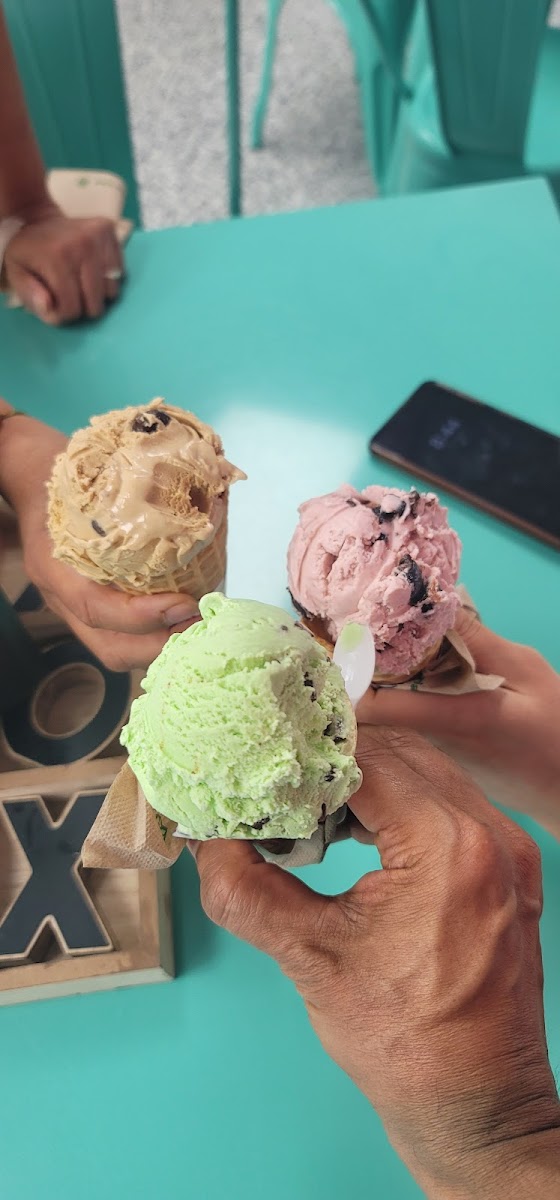 It's Delicious Ice Cream Photo 9