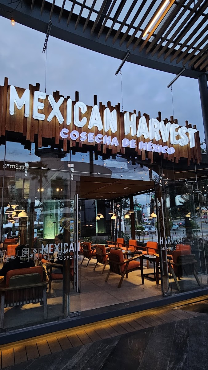Mexican Harvest