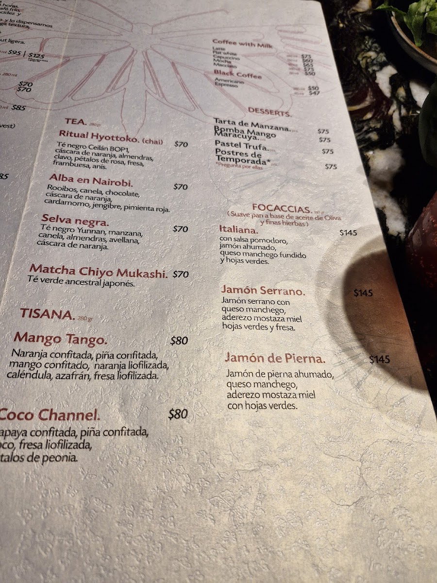 Mexican Harvest Photo Menu 5