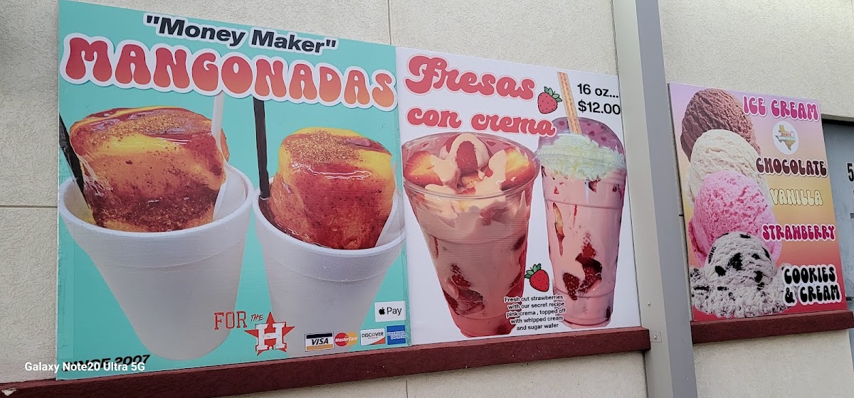 Texas Shaved Ice Express Photo Menu 8