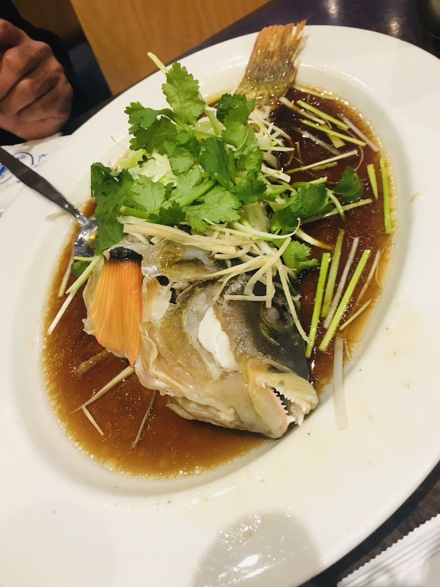 Pacific Seafood BBQ House South Yarra Photo 9