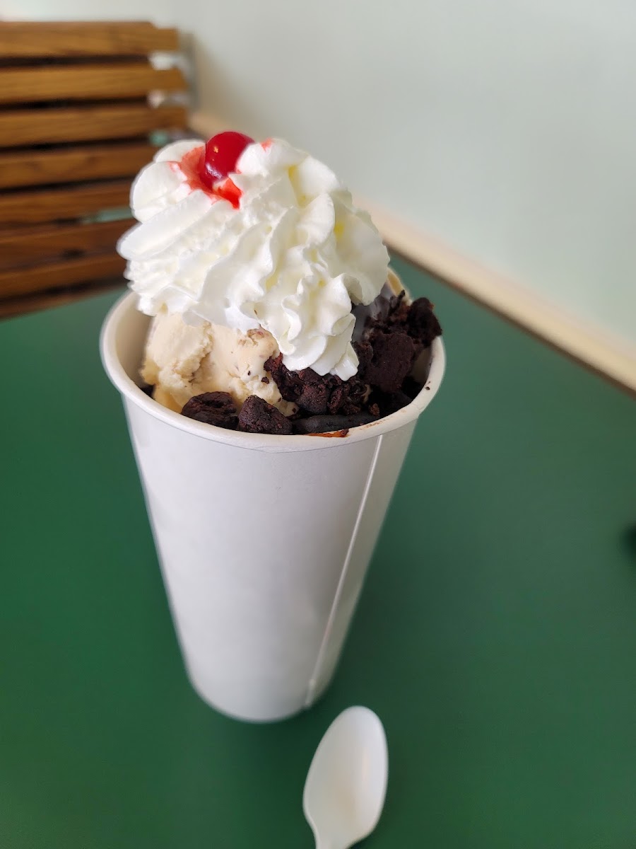 Holiday Ice Cream Photo 10