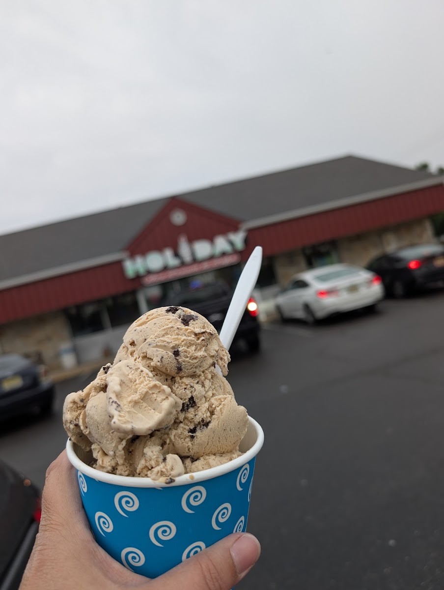 Holiday Ice Cream Photo 2