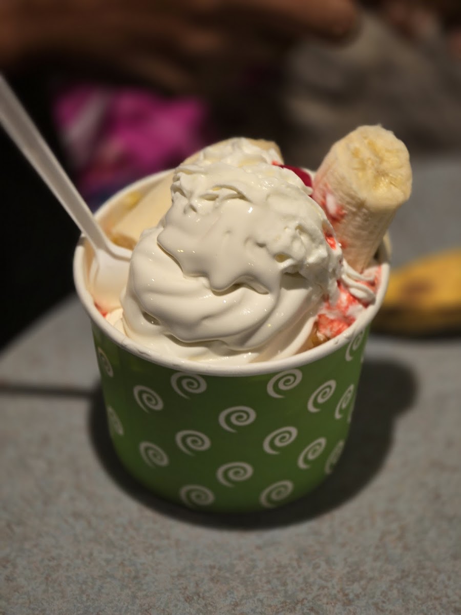 Holiday Ice Cream Photo 4