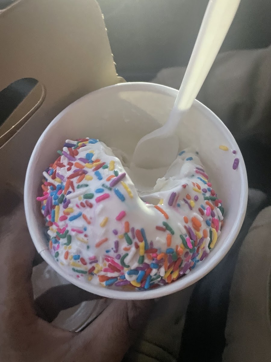 Holiday Ice Cream Photo 6