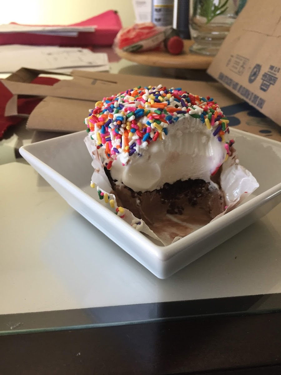 Holiday Ice Cream Photo 8