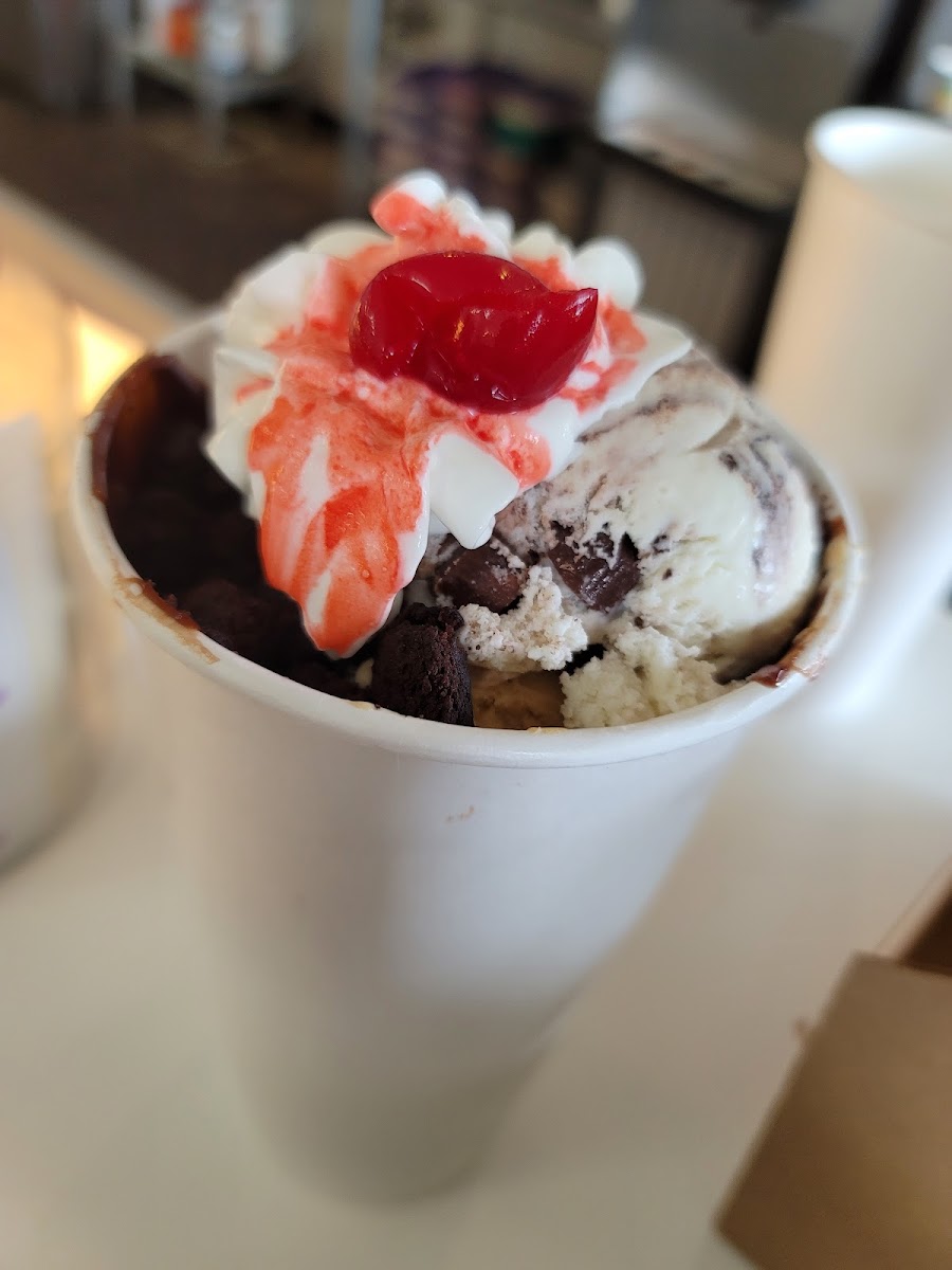 Holiday Ice Cream Photo 9
