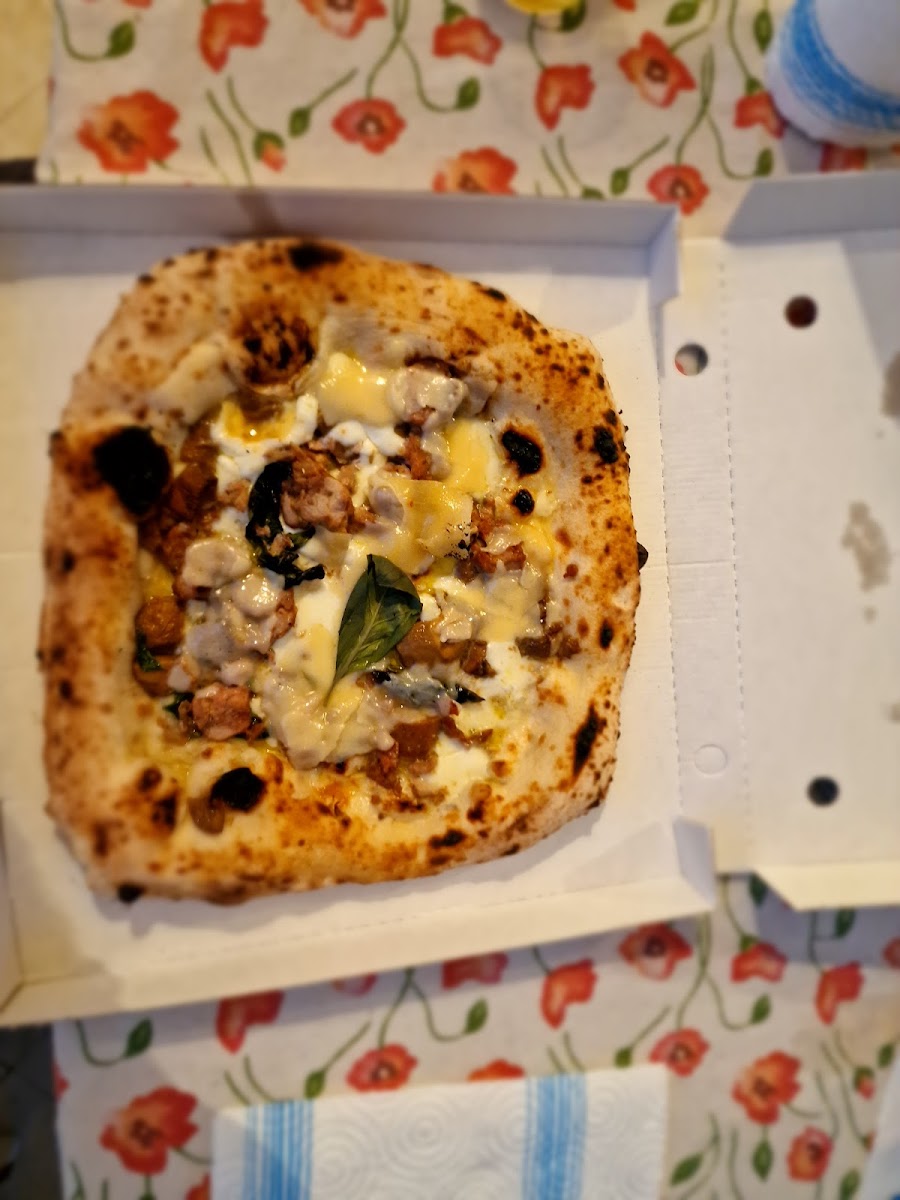 BAHÌA delivery mode Photo 5