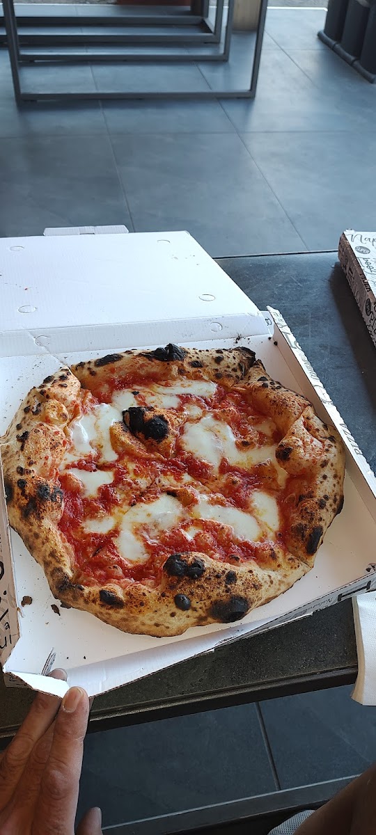 BAHÌA delivery mode Photo 7