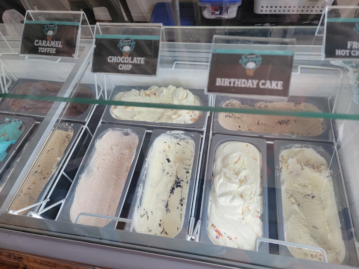 The Daily Scoop - Batesville