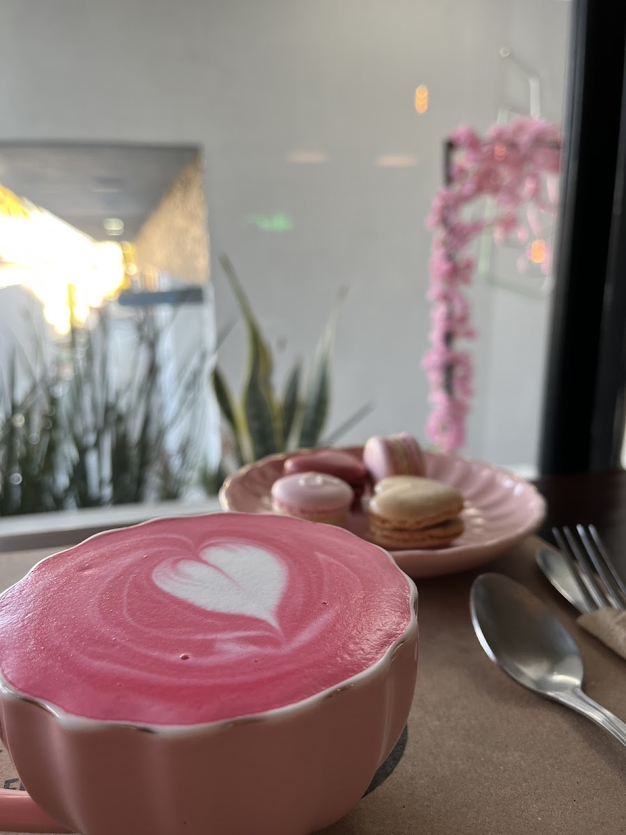 Café Velvet Centro Photo 3