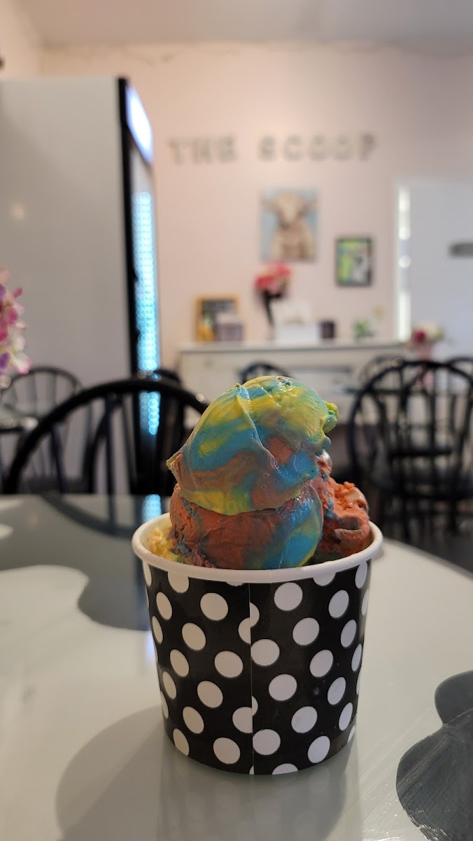 The Scoop Ice Cream Cafe Photo 5