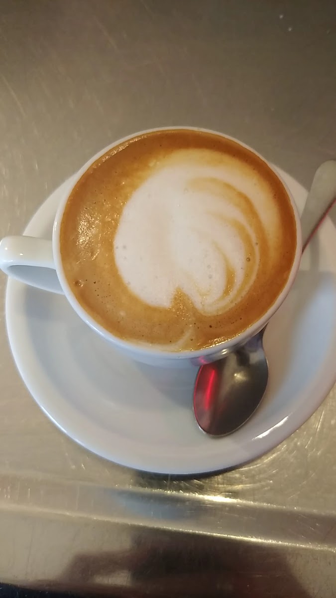 Cafè del Pla Photo 2