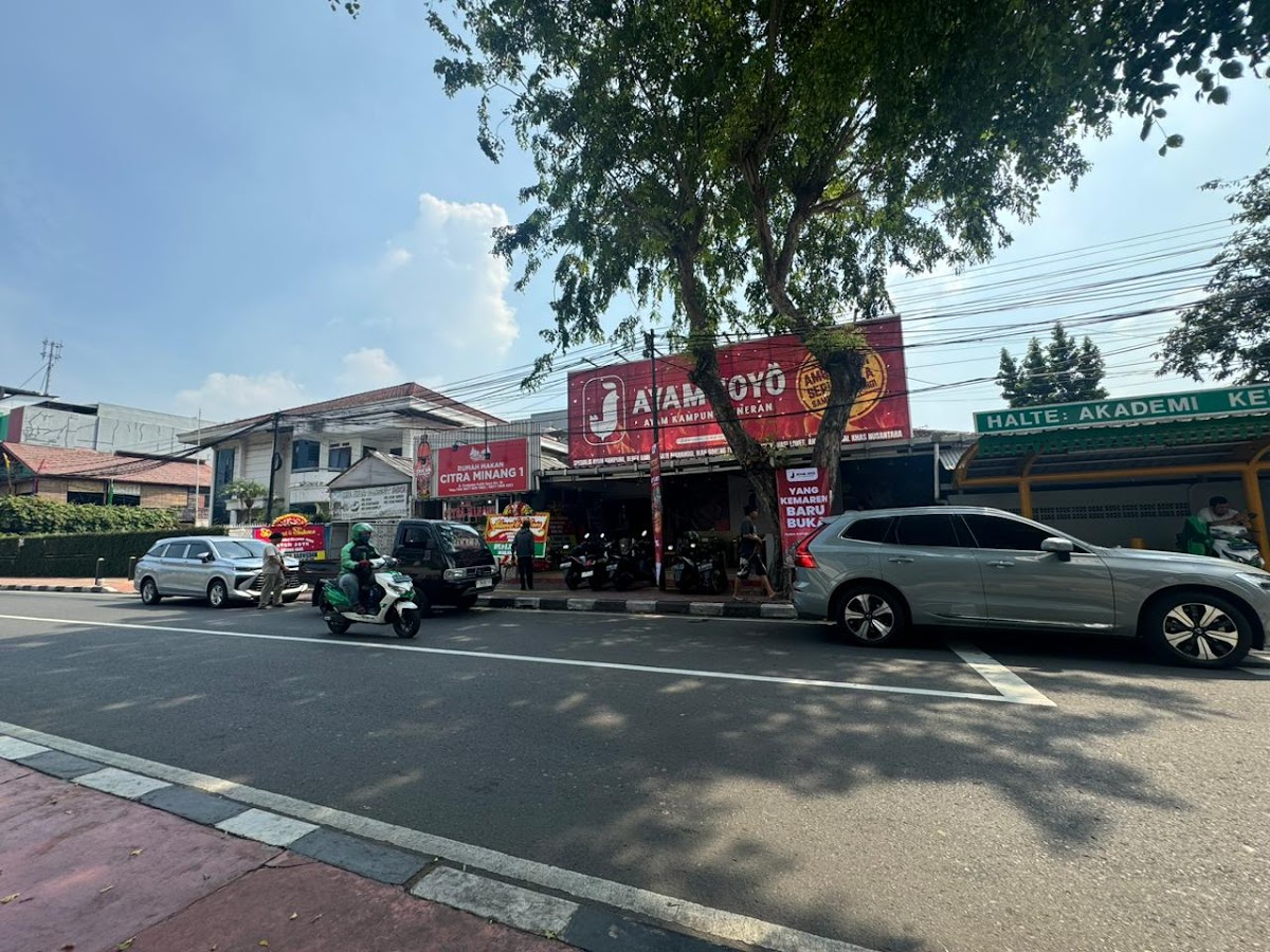 Ayam Joyo Cempaka Putih