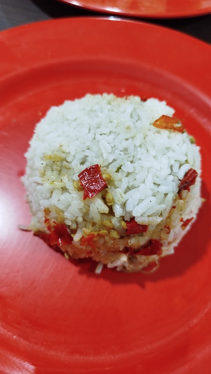 Ayam Joyo Cempaka Putih Photo 10