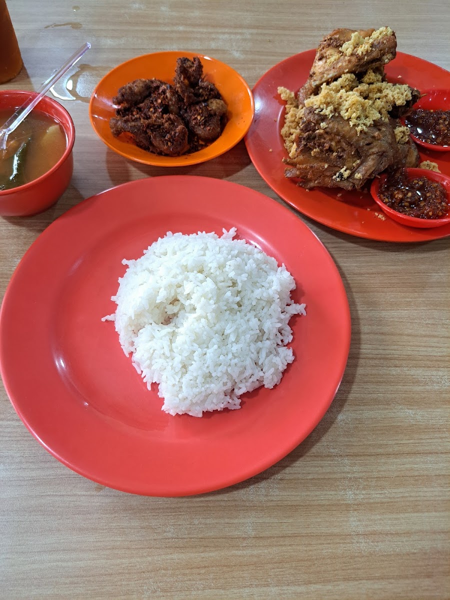 Ayam Joyo Cempaka Putih Photo 5