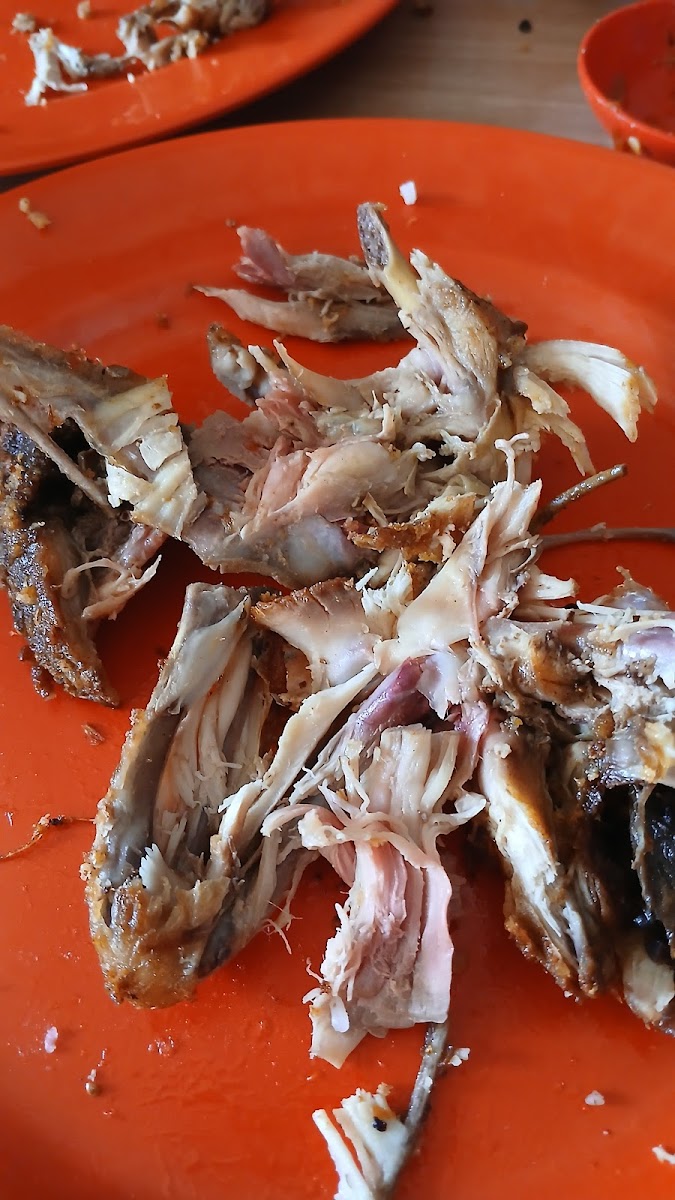 Ayam Joyo Cempaka Putih Photo 7