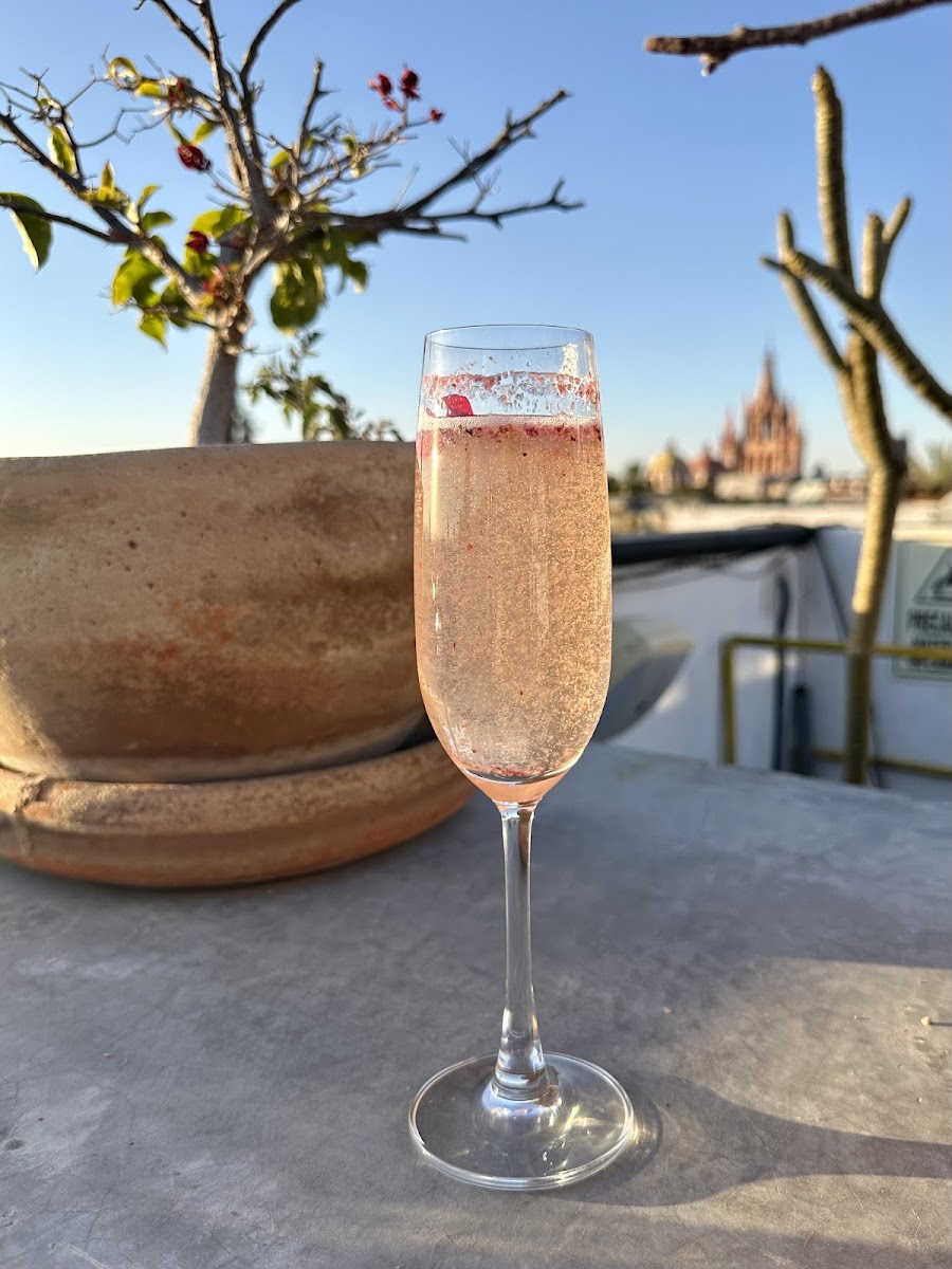 Casa Nostra Restaurant, Terrace and Rooftop Photo 5