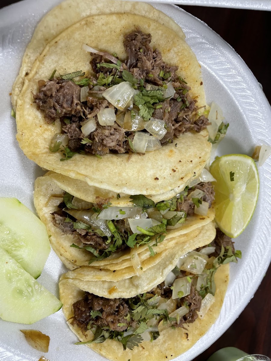 Taqueria el primo Photo 2