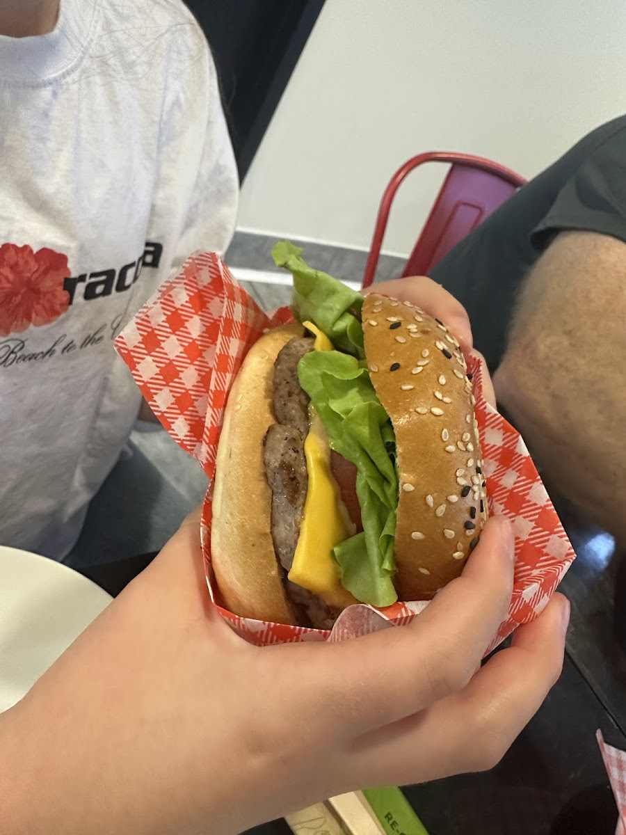 The Fat American Photo 3