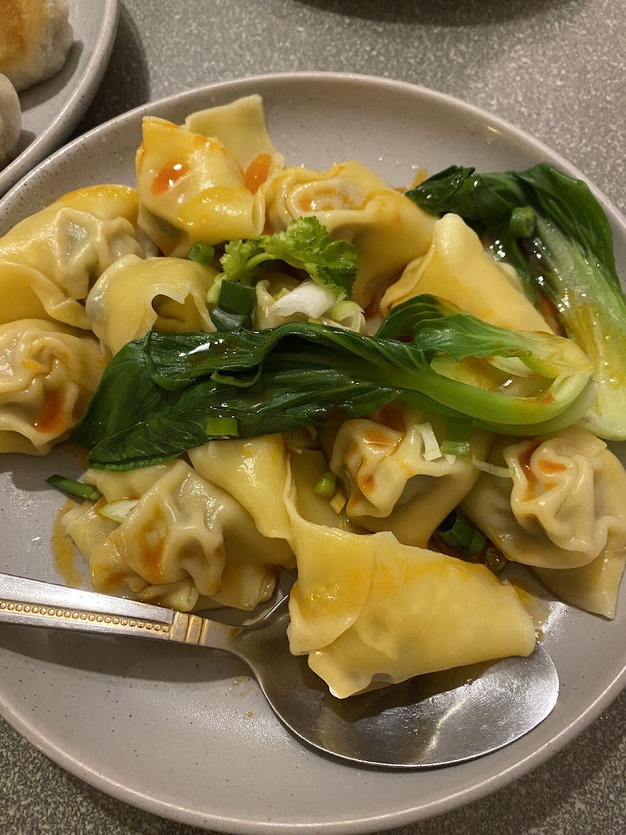 Chinese Dumpling Dynasty Photo 4
