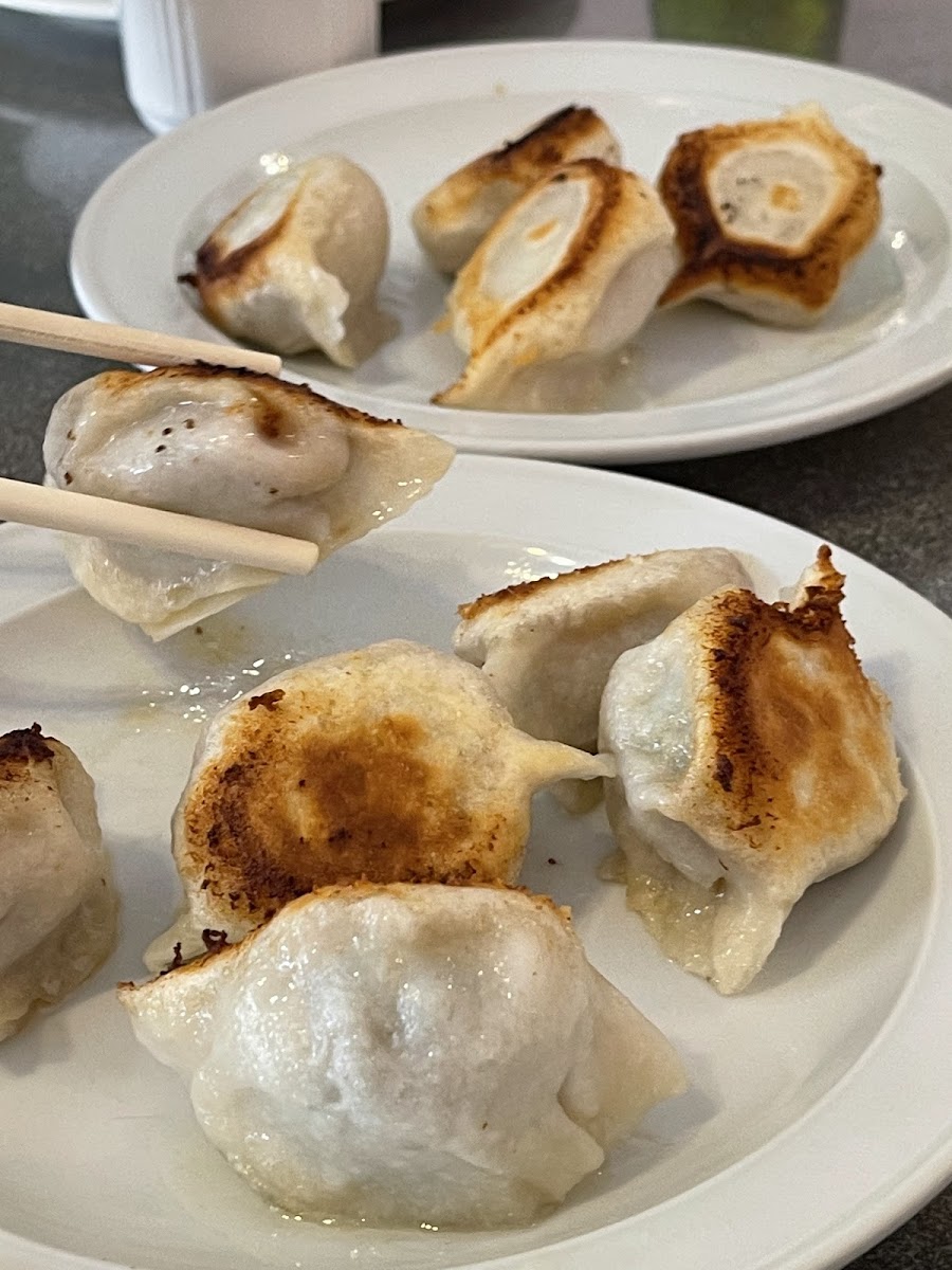 Chinese Dumpling Dynasty Photo 5