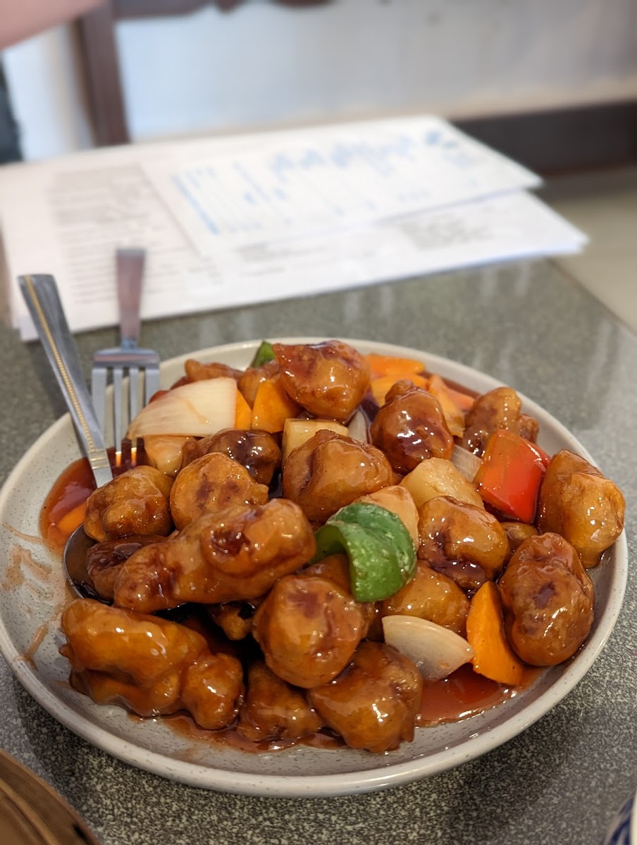 Chinese Dumpling Dynasty Photo 6