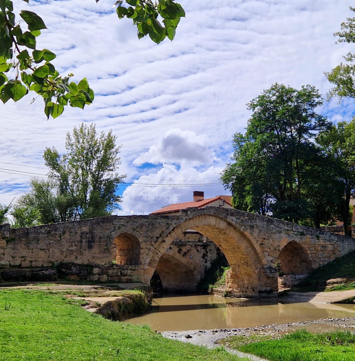 El Trujal del Abuelo Photo 3