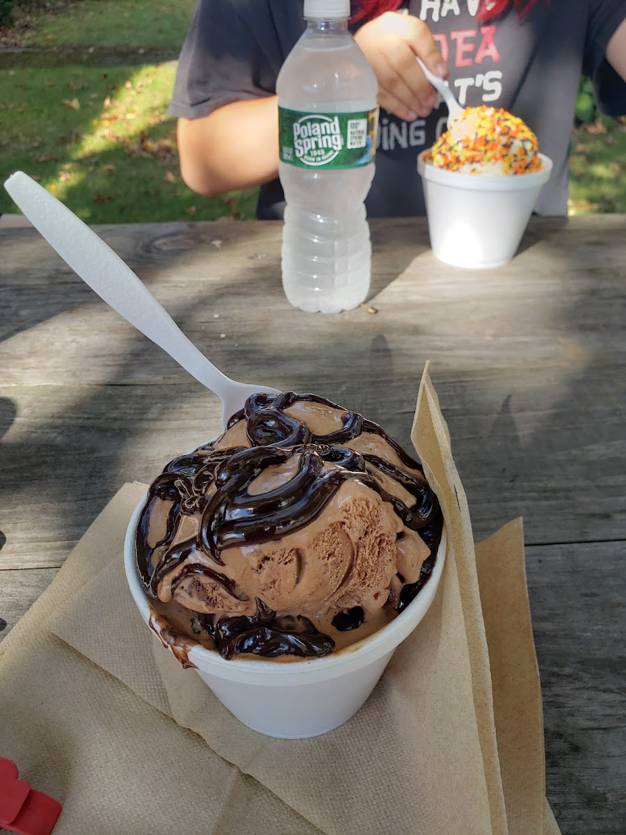 Whittemore Ice Cream Photo 5