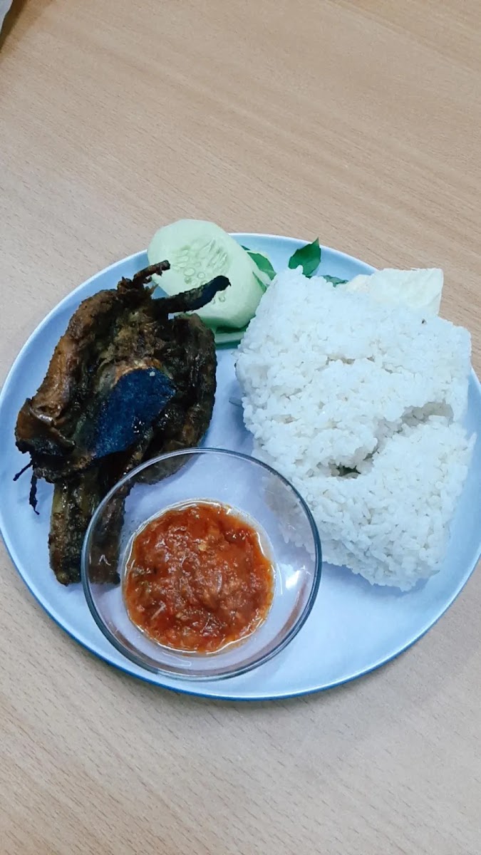 RM.BEBEK BAKAR SHEGET Photo 7