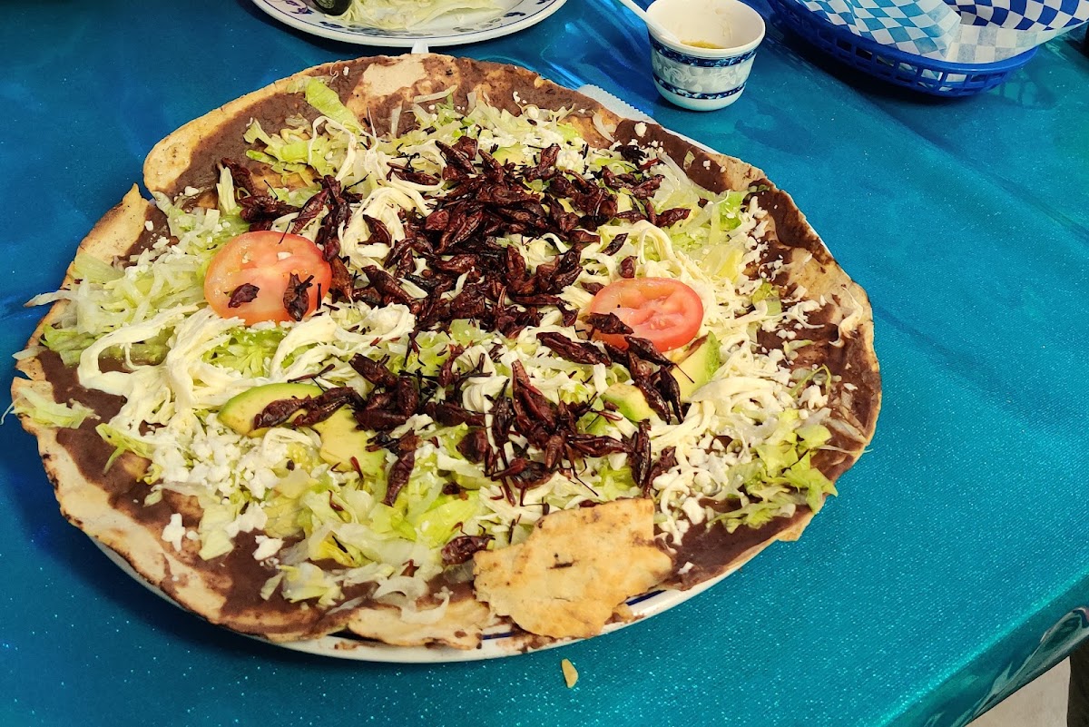 La Flor Oaxaqueña LLC Restaurant Photo 5