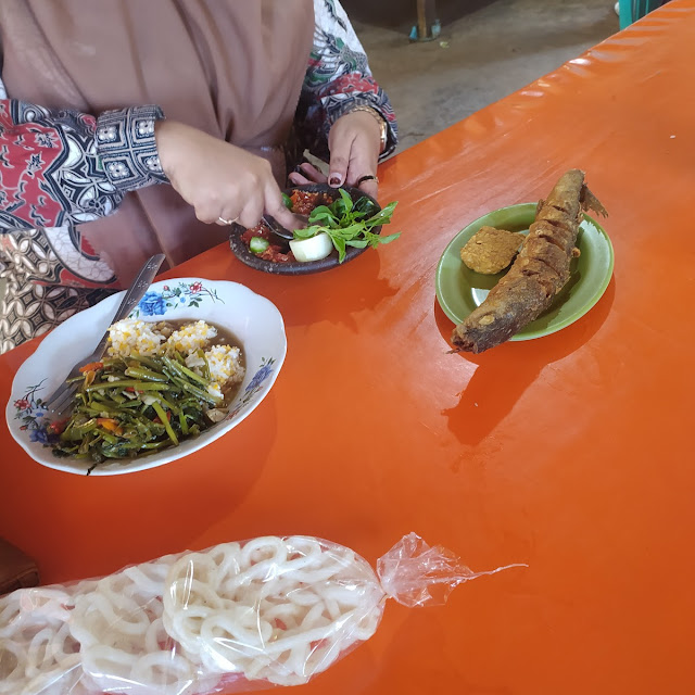 Ikan Indosiar