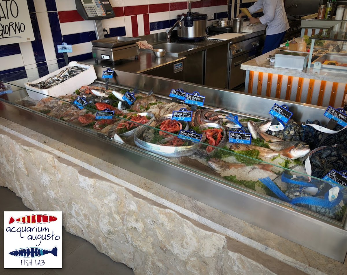 Acquarium Augusto Sushi Capri