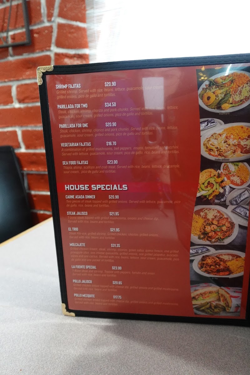 La Fuente Mexican Restaurant Photo Menu 5