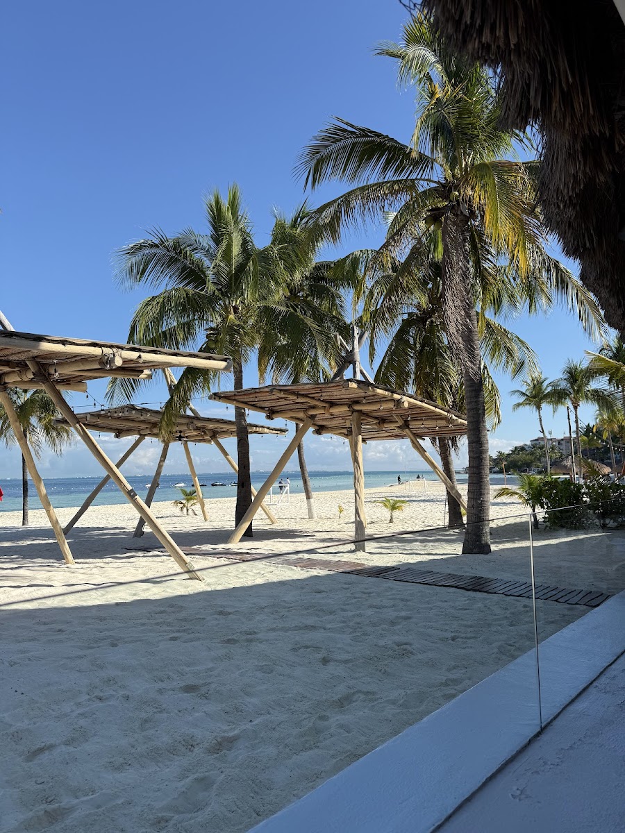 Deck Bar Photo 4