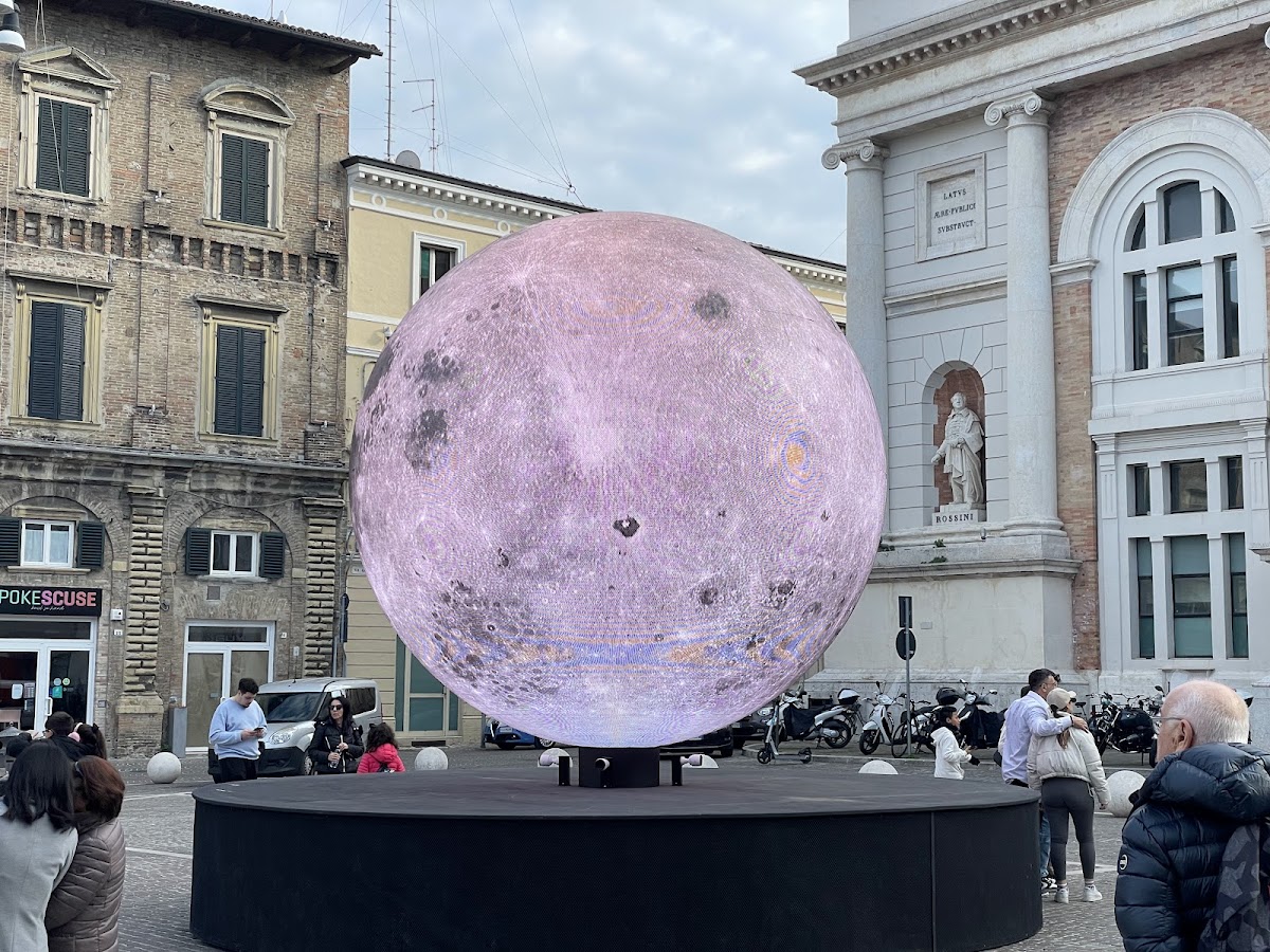 Poke Scuse - Pesaro Photo 4