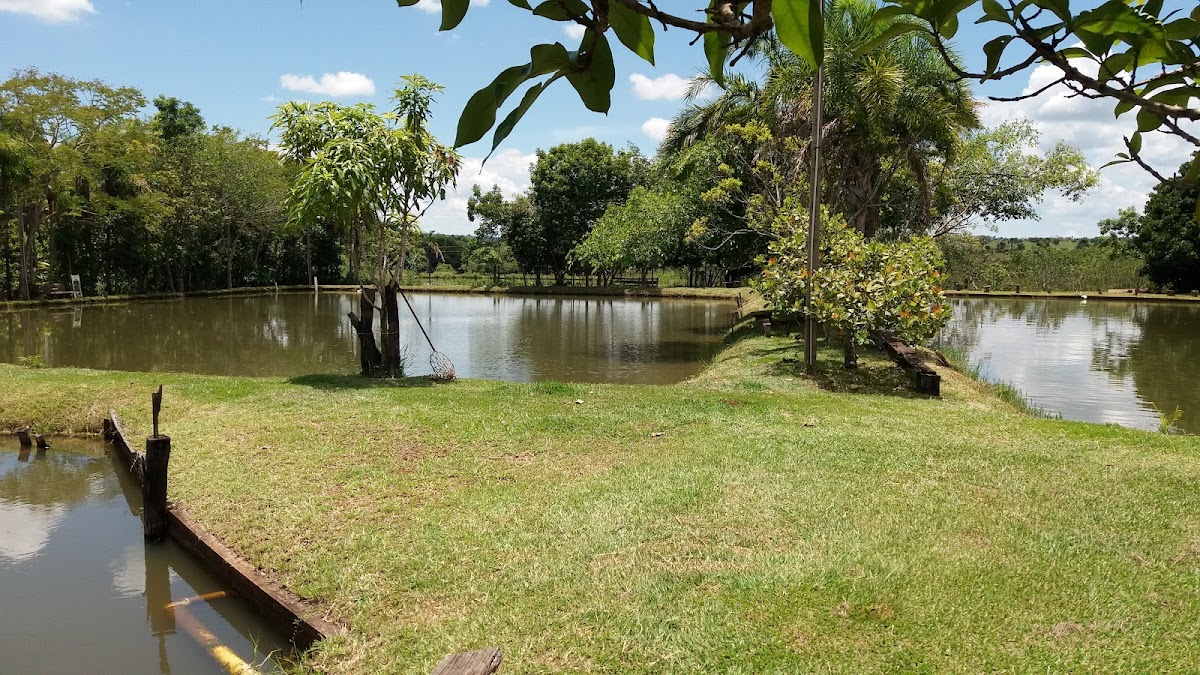 Pesque e pague tambury